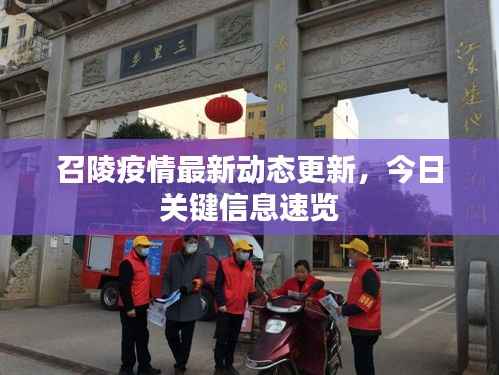 召陵疫情最新动态更新，今日关键信息速览