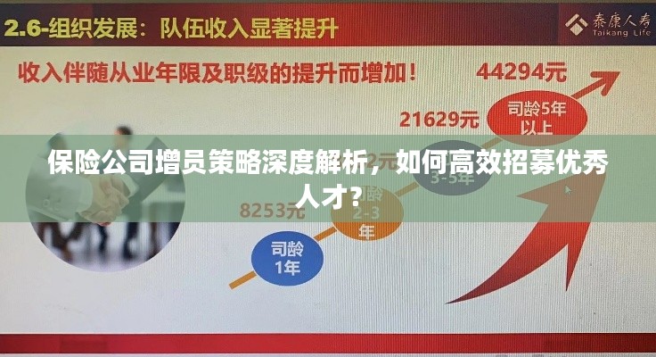 保险公司增员策略深度解析，如何高效招募优秀人才？