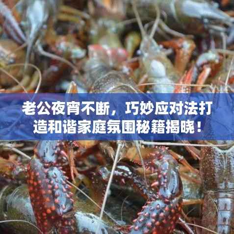 老公夜宵不断，巧妙应对法打造和谐家庭氛围秘籍揭晓！