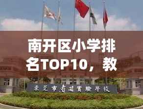南开区小学排名TOP10，教育之光闪耀，培育未来之星