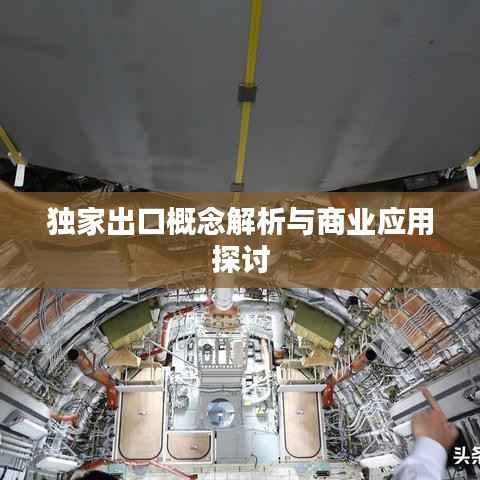 独家出口概念解析与商业应用探讨