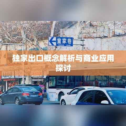 独家出口概念解析与商业应用探讨