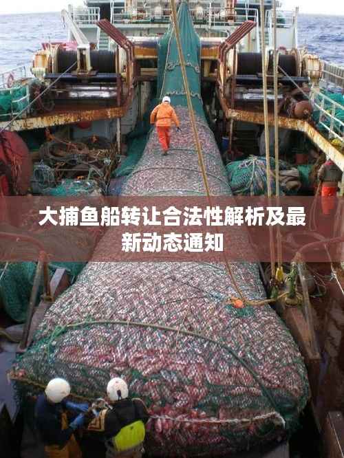 大捕鱼船转让合法性解析及最新动态通知