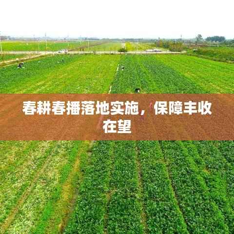 春耕春播落地实施，保障丰收在望
