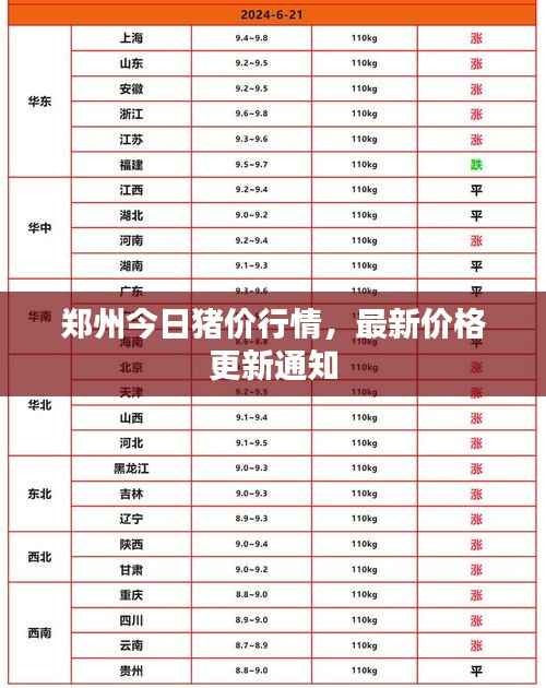 郑州今日猪价行情，最新价格更新通知