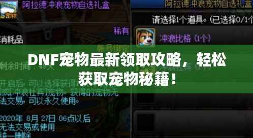 DNF宠物最新领取攻略,轻松获取宠物秘籍!