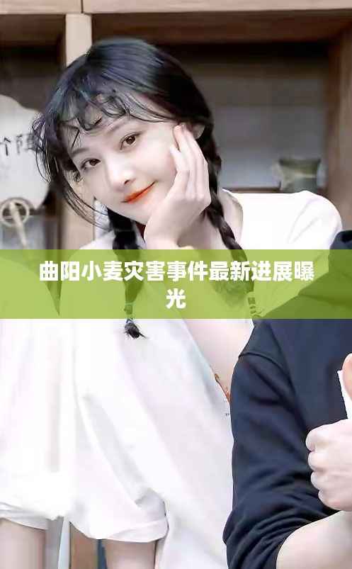 曲阳小麦灾害事件最新进展曝光