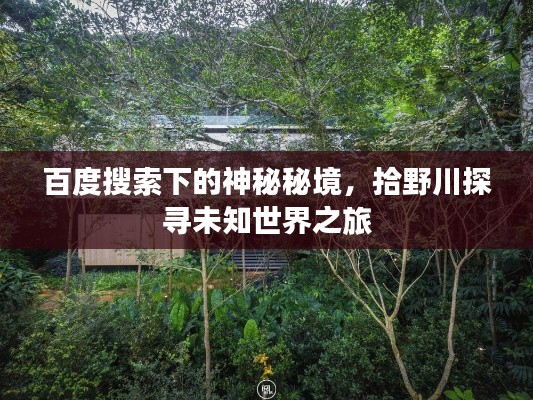 百度搜索下的神秘秘境，拾野川探寻未知世界之旅