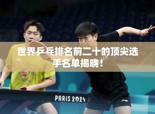 世界乒乓排名前二十的顶尖选手名单揭晓！
