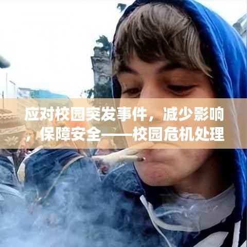 应对校园突发事件，减少影响，保障安全——校园危机处理指南
