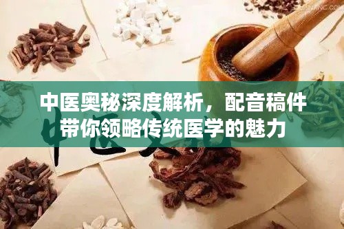 中医奥秘深度解析，配音稿件带你领略传统医学的魅力