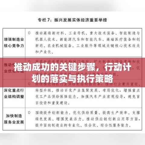 推动成功的关键步骤,行动计划的落实与执行策略