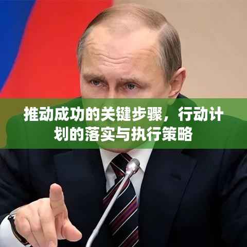 推动成功的关键步骤,行动计划的落实与执行策略
