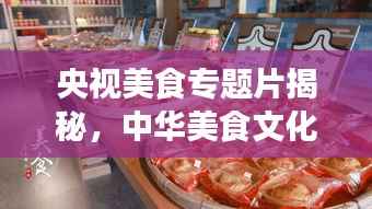 央视美食专题片揭秘，中华美食文化的独特魅力与传承之旅
