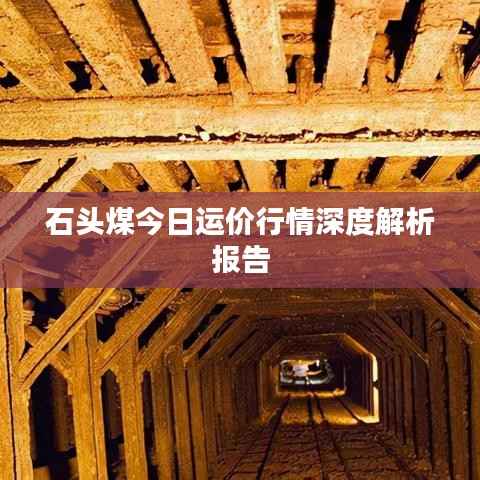 石头煤今日运价行情深度解析报告