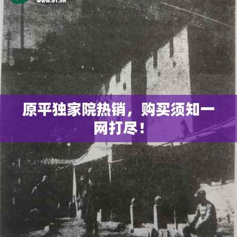 原平独家院热销，购买须知一网打尽！
