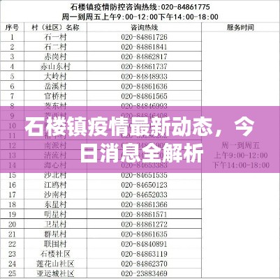 石楼镇疫情最新动态，今日消息全解析