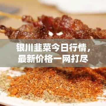 银川韭菜今日行情，最新价格一网打尽
