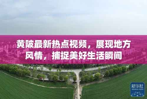 黄陂最新热点视频，展现地方风情，捕捉美好生活瞬间