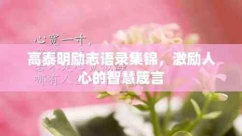 高泰明励志语录集锦，激励人心的智慧箴言