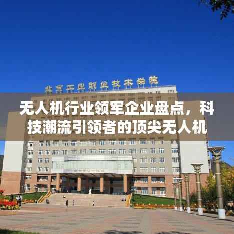 无人机行业领军企业盘点，科技潮流引领者的顶尖无人机世界排名