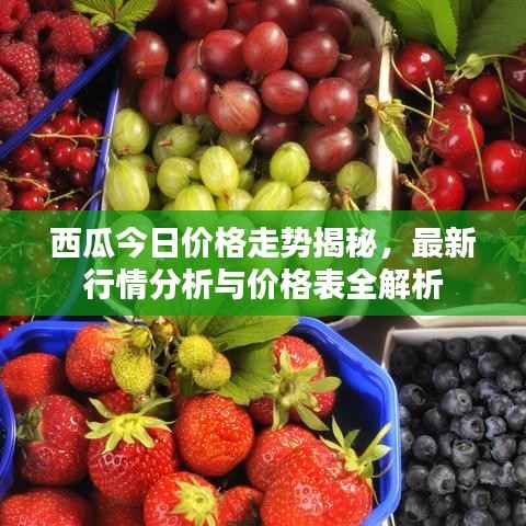 西瓜今日价格走势揭秘,最新行情分析与价格表全解析