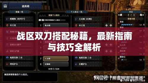 战区双刀搭配秘籍,最新指南与技巧全解析