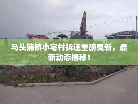 马头铺镇小宅村拆迁重磅更新，最新动态揭秘！
