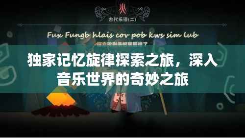 独家记忆旋律探索之旅，深入音乐世界的奇妙之旅