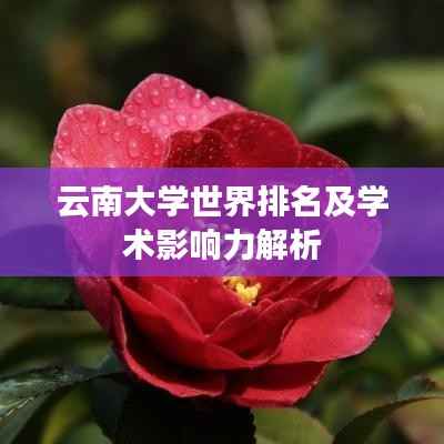 云南大学世界排名及学术影响力解析