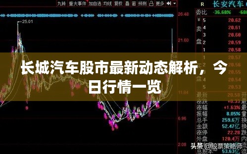 长城汽车股市最新动态解析，今日行情一览
