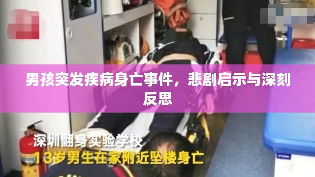 男孩突发疾病身亡事件，悲剧启示与深刻反思