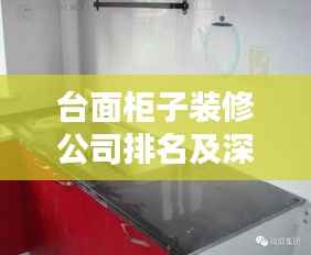 披肝沥胆 第4页