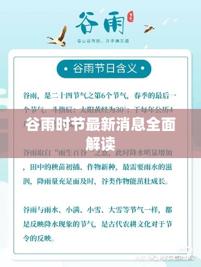谷雨时节最新消息全面解读