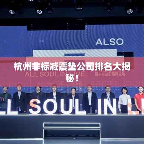 杭州非标减震垫公司排名大揭秘！