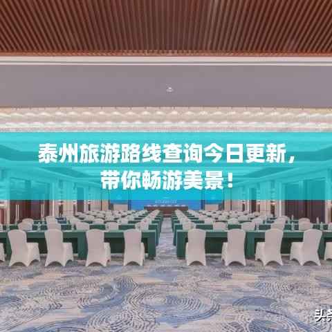 泰州旅游路线查询今日更新，带你畅游美景！
