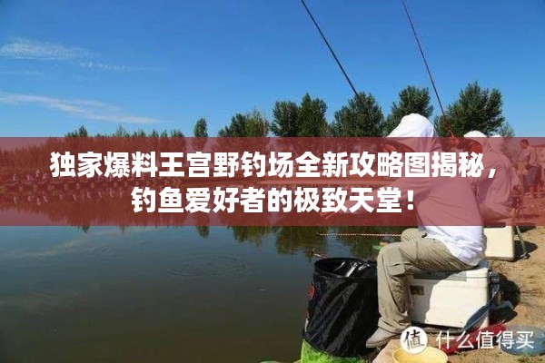 独家爆料王宫野钓场全新攻略图揭秘，钓鱼爱好者的极致天堂！