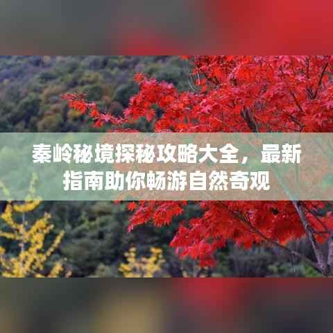 秦岭秘境探秘攻略大全，最新指南助你畅游自然奇观