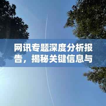 网讯专题深度分析报告，揭秘关键信息与趋势预测