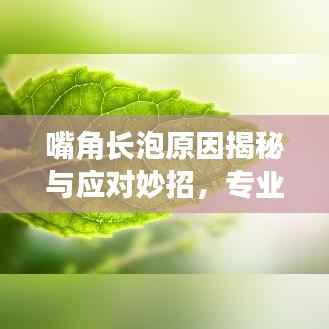 嘴角长泡原因揭秘与应对妙招,专业解析助你快速解决!