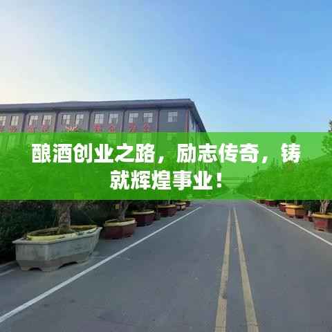 酿酒创业之路，励志传奇，铸就辉煌事业！