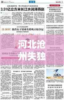 河北沧州失独家庭的现状与社会关爱支持体系构建