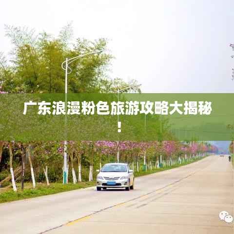 广东浪漫粉色旅游攻略大揭秘！