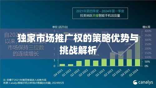 独家市场推广权的策略优势与挑战解析