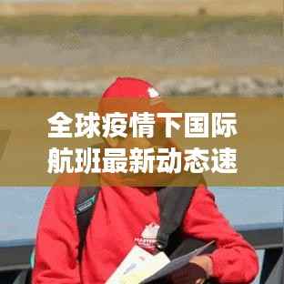 全球疫情下国际航班最新动态速递