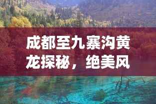成都至九寨沟黄龙探秘，绝美风光旅游攻略