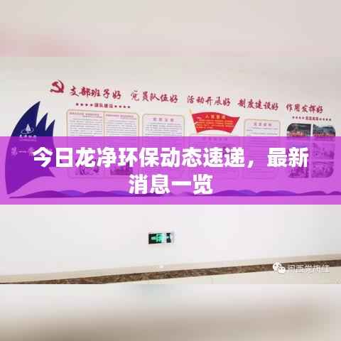 今日龙净环保动态速递，最新消息一览