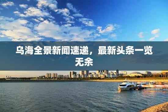乌海全景新闻速递，最新头条一览无余