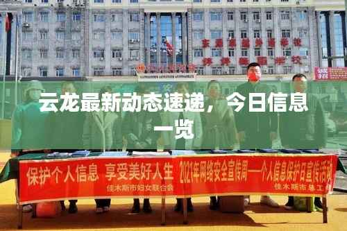 云龙最新动态速递，今日信息一览