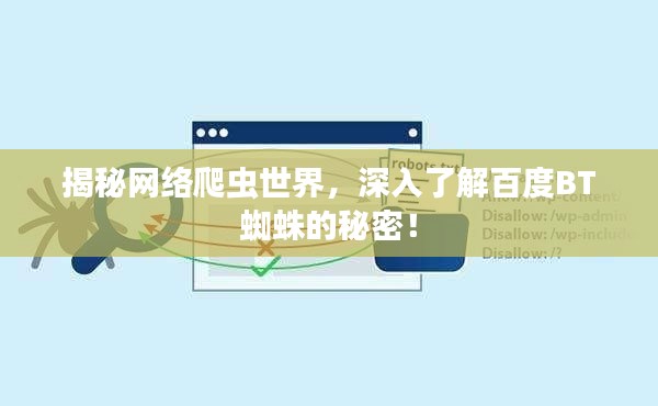 揭秘网络爬虫世界，深入了解百度BT蜘蛛的秘密！